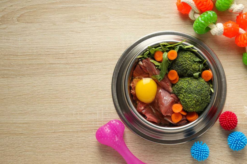 Tips from Vet Professionals for Making Homemade Dog Food